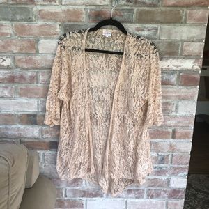 LuLaroe S Blush Lace Lindsay